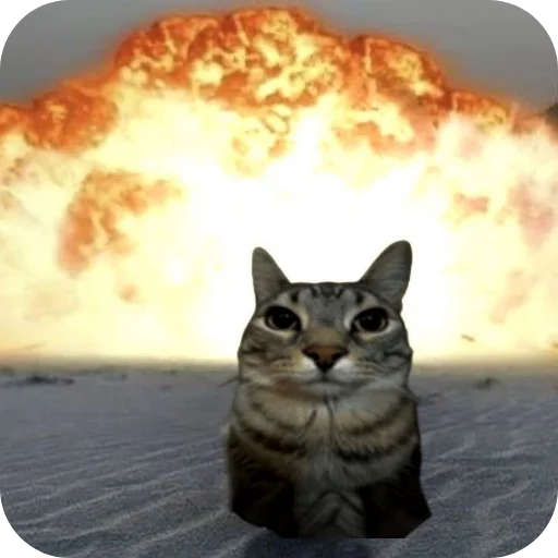 👍 Стикер «Китя» для Telegram