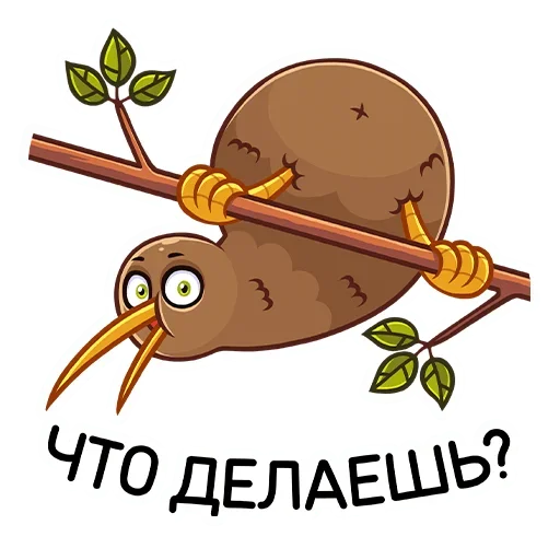 🙃 Стикер «Киви Стиви» для Telegram