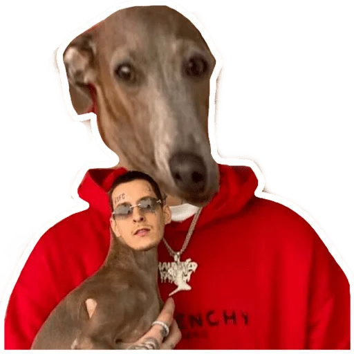 🐶 Стикер «Kizaru sticker pack v2.0» для Telegram