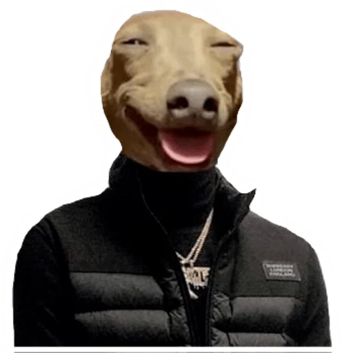 🐶 Стикер «Kizaru sticker pack v2.0» для Telegram