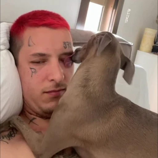 👅 Стикер «kizaru emotions» для Telegram