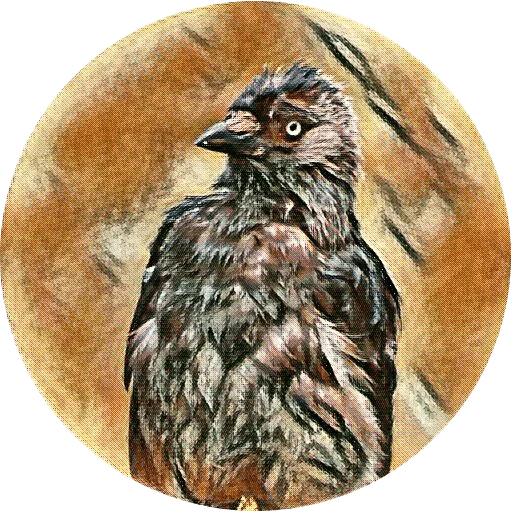 🐱 Стикер «kizhi bird» для Telegram