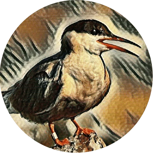 🐹 Стикер «kizhi bird» для Telegram
