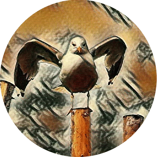 🐻 Стикер «kizhi bird» для Telegram