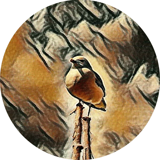 🐻 Стикер «kizhi bird» для Telegram