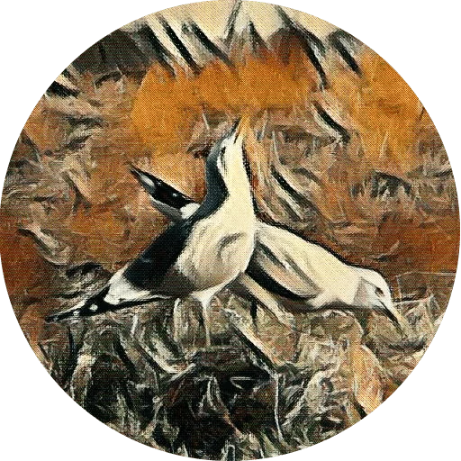 🐨 Стикер «kizhi bird» для Telegram