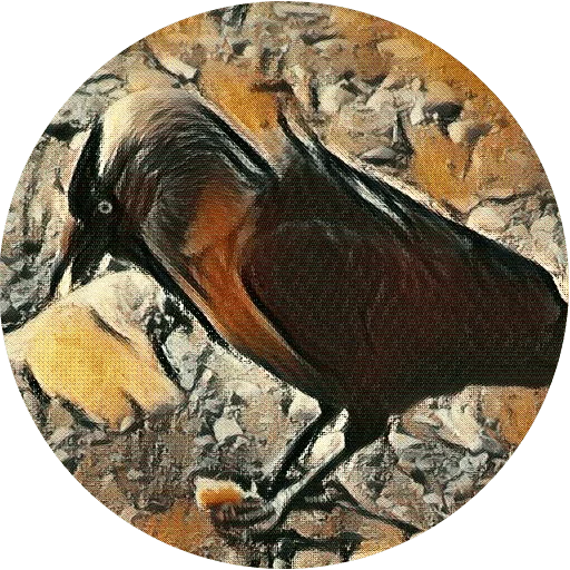 🦁 Стикер «kizhi bird» для Telegram