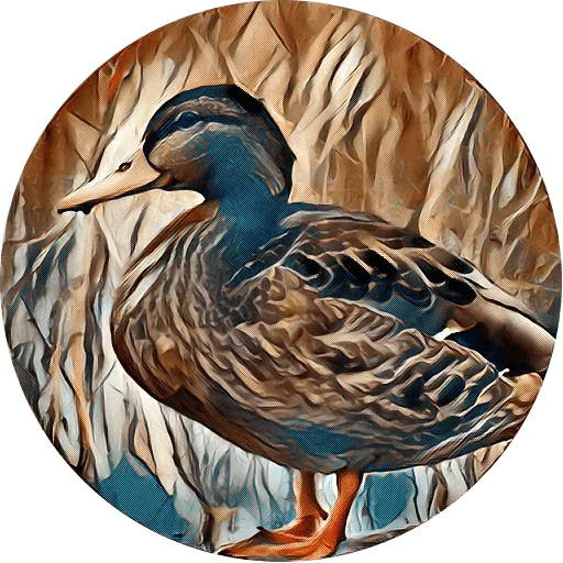 🐵 Стикер «kizhi bird» для Telegram