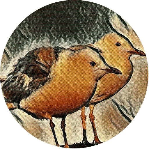 🐔 Стикер «kizhi bird» для Telegram