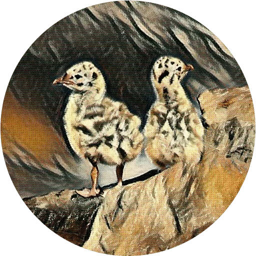 🐧 Стикер «kizhi bird» для Telegram