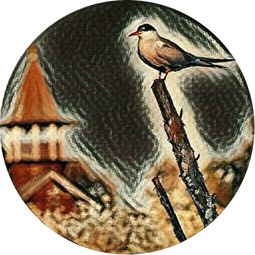🐤 Стикер «kizhi bird» для Telegram