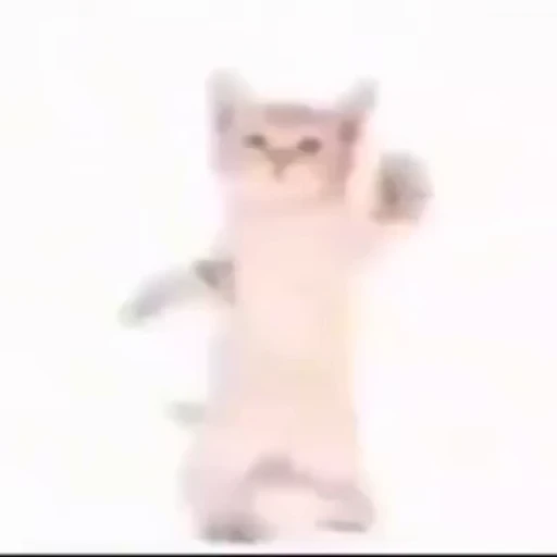 🐱 Стикер «котики» для Telegram