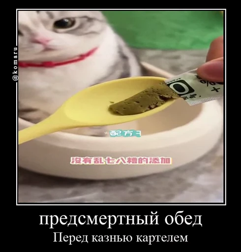 🤩 Стикер «Комару» для Telegram