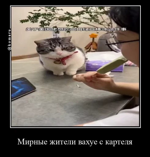 Стикерпак Комару для Telegram