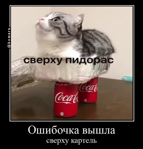 🤩 Стикер «Комару» для Telegram