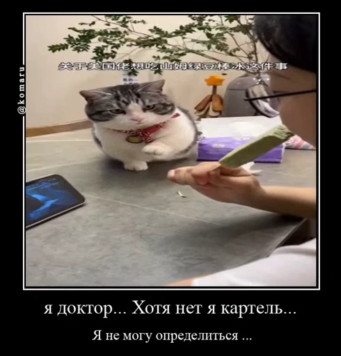 🤩 Стикер «Комару» для Telegram