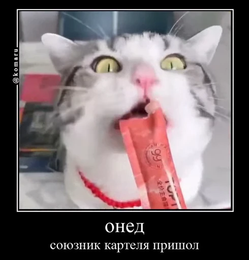 🤩 Стикер «Комару» для Telegram