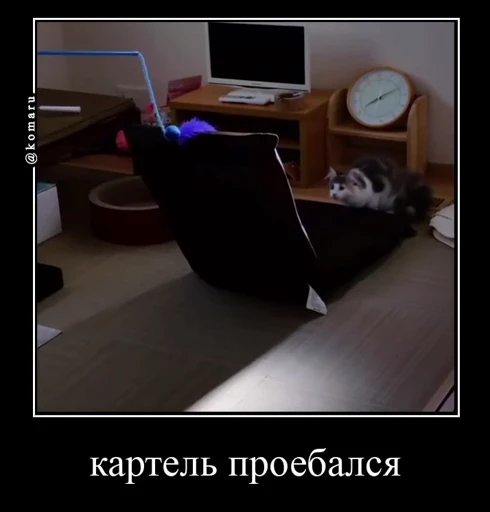 🤩 Стикер «Комару» для Telegram