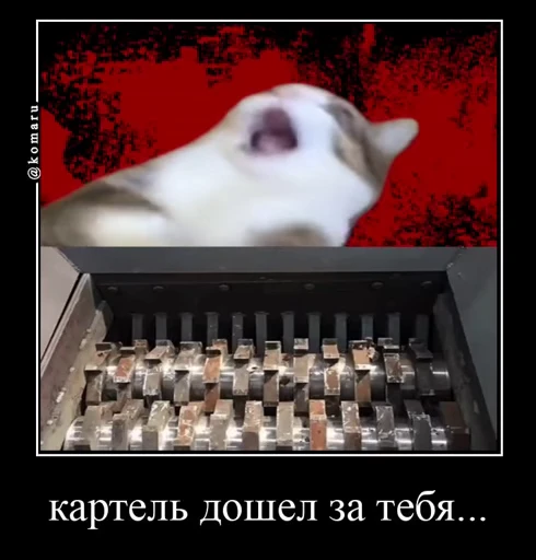 🤩 Стикер «Комару» для Telegram