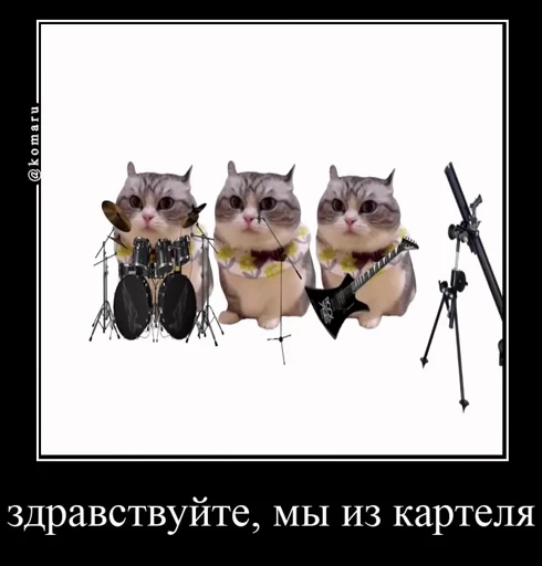 🤩 Стикер «Комару» для Telegram