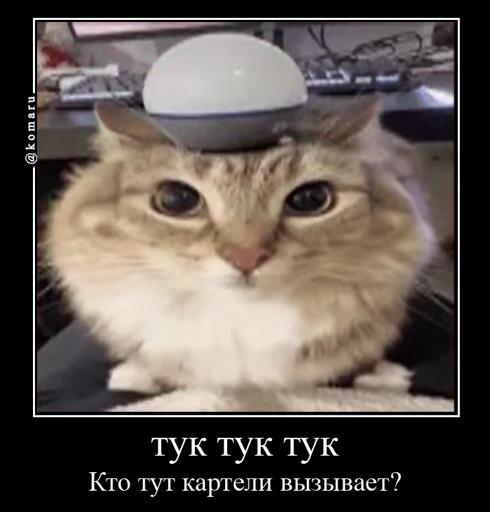 🤩 Стикер «Комару» для Telegram