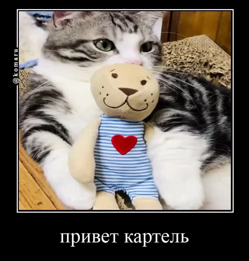 🤩 Стикер «Комару» для Telegram