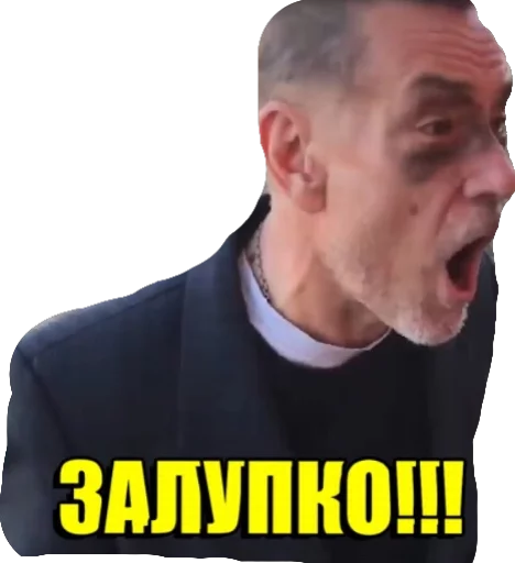 Стикер 4 Залупэнко