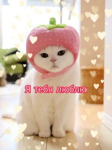 ❤️ Стикер «Няшные Пикчи» для Telegram