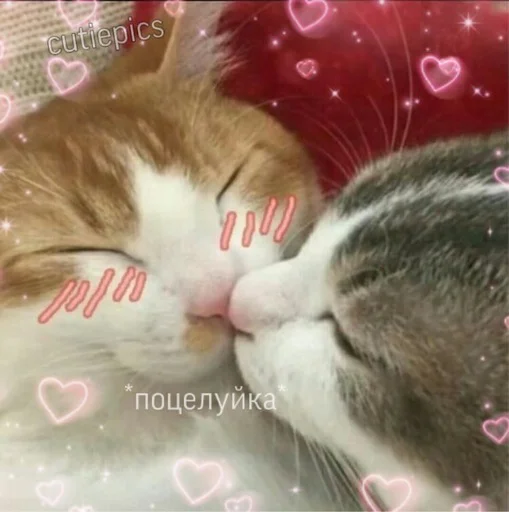 💋 Стикер «Няшные Пикчи» для Telegram