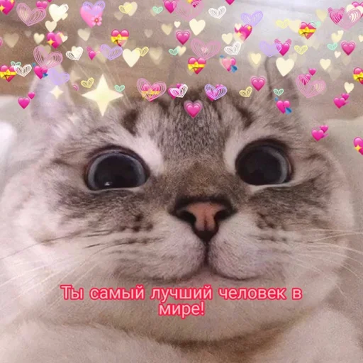 😊 Стикер «Няшные Пикчи» для Telegram