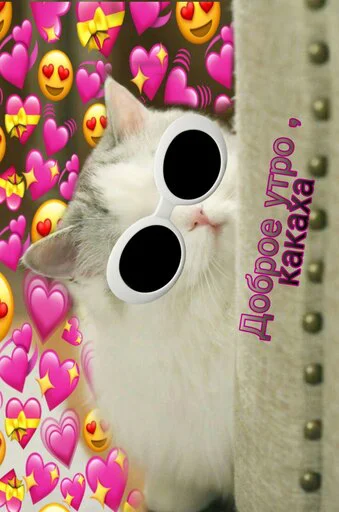 😎 Стикер «Няшные Пикчи» для Telegram