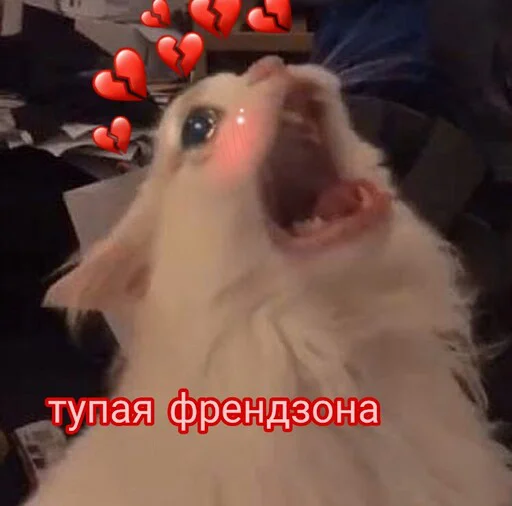 😩 Стикер «Няшные Пикчи» для Telegram