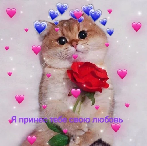 🥰 Стикер «Няшные Пикчи» для Telegram