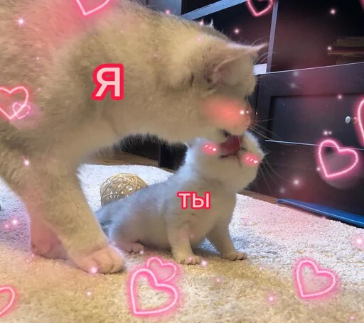 😊 Стикер «Няшные Пикчи» для Telegram