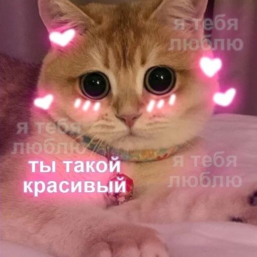 🥺 Стикер «Няшные Пикчи» для Telegram