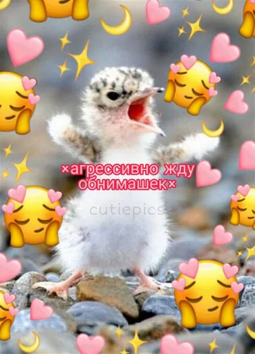 🤗 Стикер «Няшные Пикчи» для Telegram