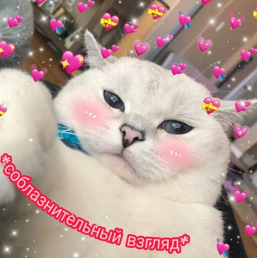 😏 Стикер «Няшные Пикчи» для Telegram