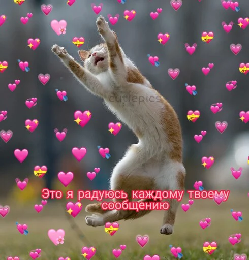 🥰 Стикер «Няшные Пикчи» для Telegram