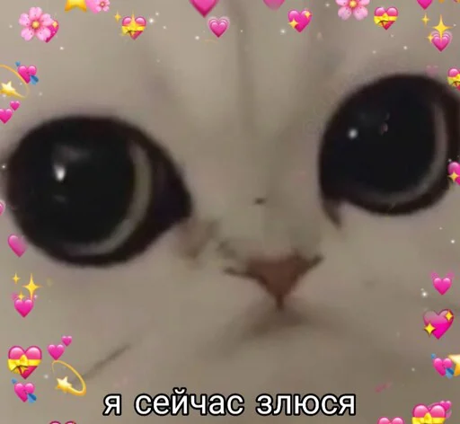 😡 Стикер «Няшные Пикчи» для Telegram