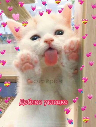 😊 Стикер «Няшные Пикчи» для Telegram