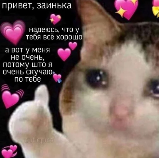 🥺 Стикер «Няшные Пикчи» для Telegram