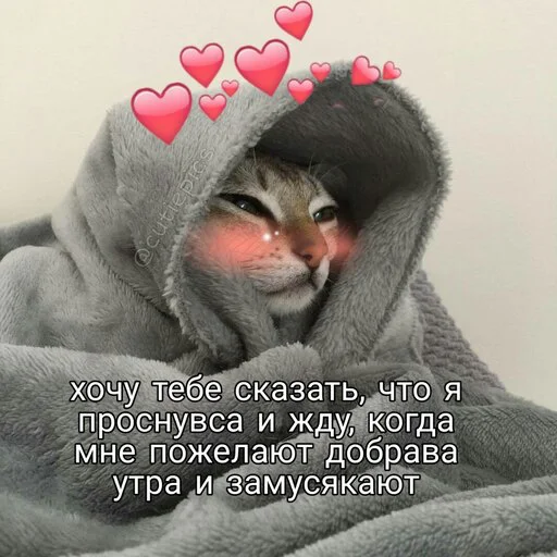 😌 Стикер «Няшные Пикчи» для Telegram