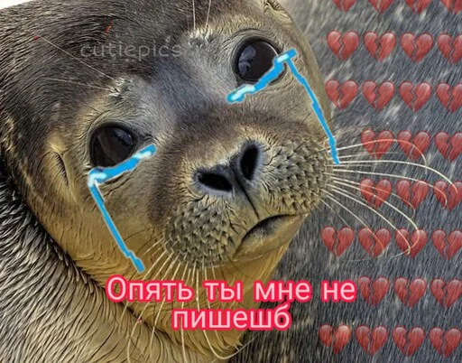 ☹️ Стикер «Няшные Пикчи» для Telegram