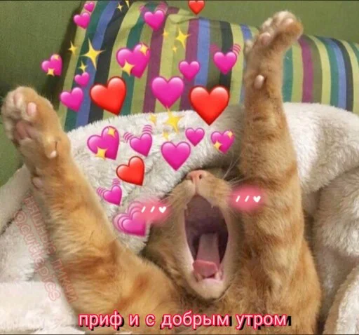 😊 Стикер «Няшные Пикчи» для Telegram