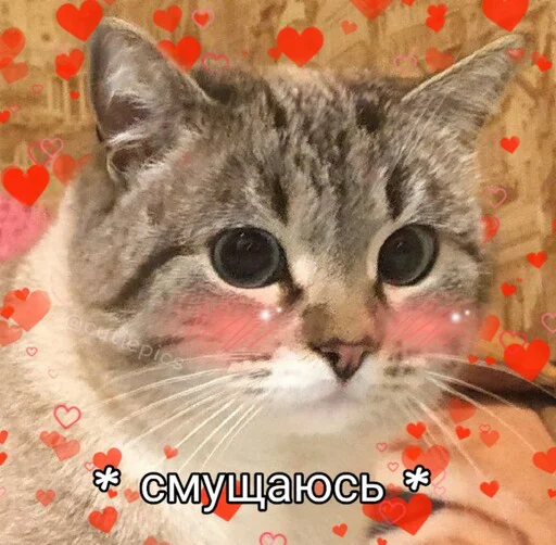 🙃 Стикер «Няшные Пикчи» для Telegram