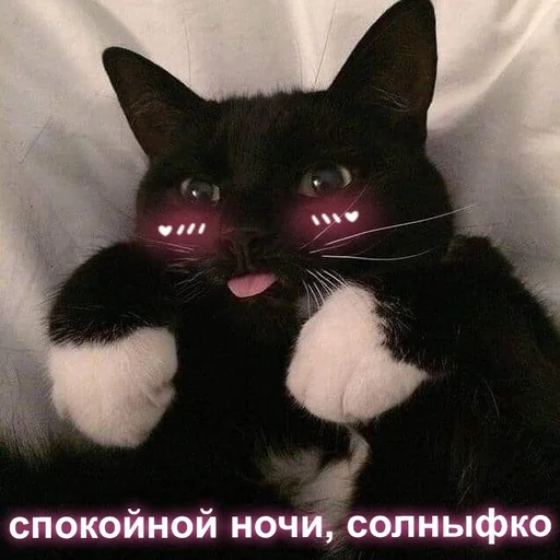 😴 Стикер «Няшные Пикчи» для Telegram