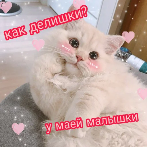 ☺️ Стикер «Няшные Пикчи» для Telegram