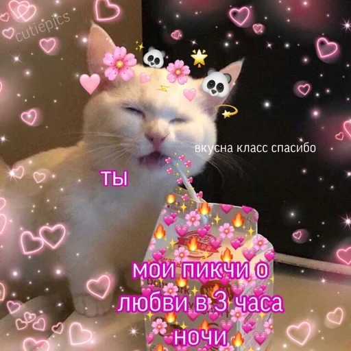 ✨ Стикер «Няшные Пикчи» для Telegram