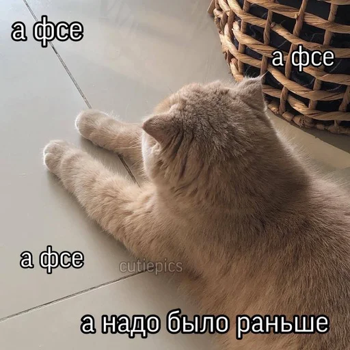 😒 Стикер «Няшные Пикчи» для Telegram