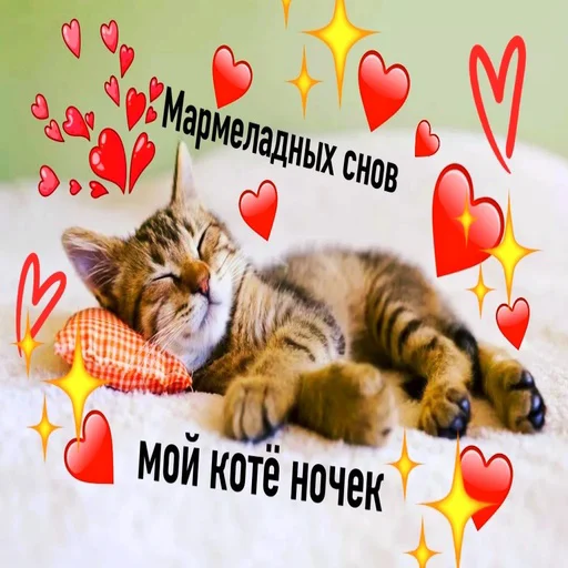 😴 Стикер «Няшные Пикчи» для Telegram